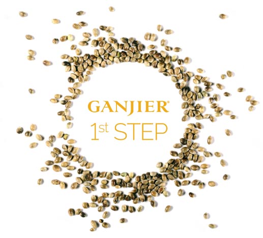 Ganjier First Step Seeds